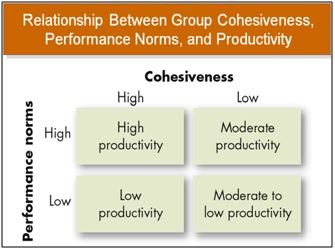 Group Cohesiveness And Performance 61